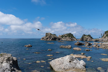 岩のある海とかもめが飛ぶ空　笹川流れ