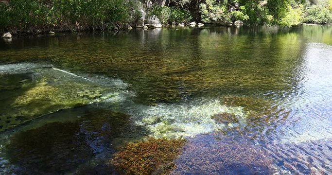 This is a video of the Comal River in Landa Park in New Braunfels Texas.