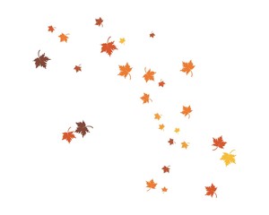 autumn Leaf background template