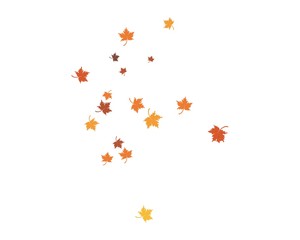 autumn Leaf background template