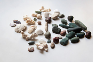 Collection of various sea stones, shells and corals on white background