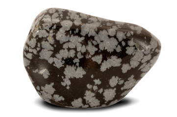 Polished snowflake obsidian stone isolated on white background