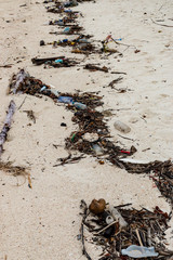 Large amounts of plastic and other rubbish washed up on the high tide line on a remote tropical beach