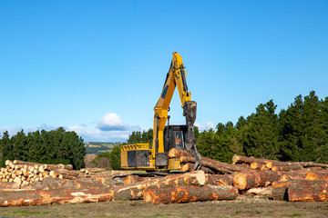 A swing loader is one of the logging and forestry machines used to stack and load logs at a logging...