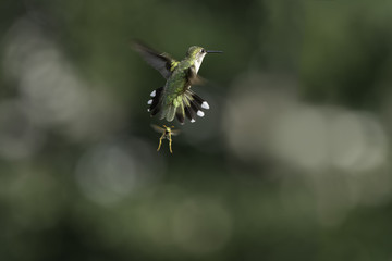 In Retreat