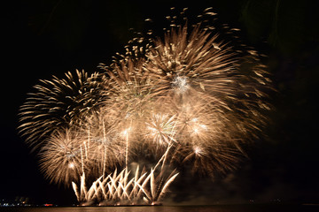Fireworks on black background.