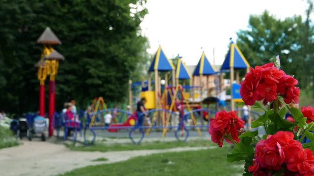 Modern playground for children in the park with flowers