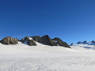 View of Fox Glacier, New Zealand