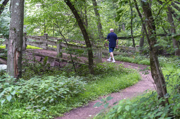 Strolling through nature