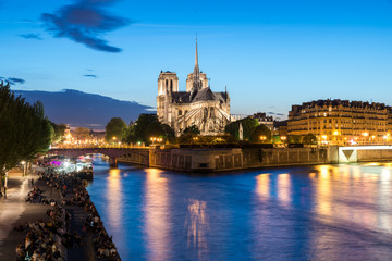 Notre Dame de Paris with cruise ship on Seine river at night in Paris, France - obrazy, fototapety, plakaty