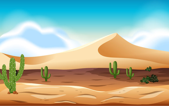 desert with dunes and cactus