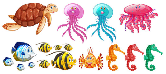 A set of sea animals