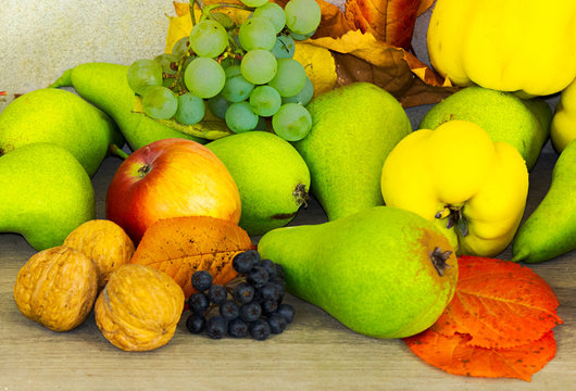 autumn fruit composition view from the top. healthy and natural food