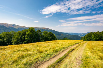 dirt road through alpine meadow among beech forest. wonderful summer landscape. distant mountain ridge beneath a blue sky with clouds