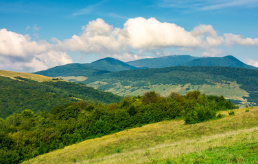 grassy hills and distant mountain peaks. lovely countryside landscape of  carpathians