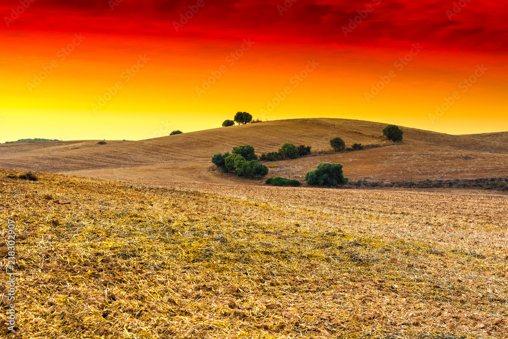 Wall mural nature of the iberian peninsula