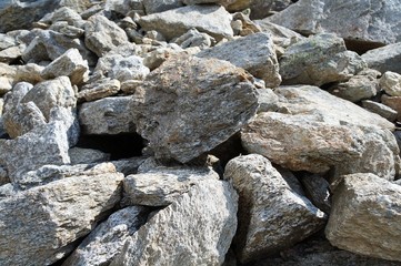 Die Natur der Berge