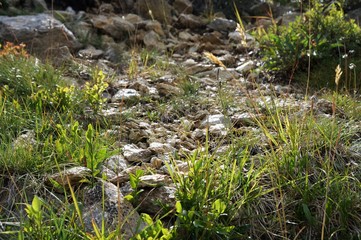 Die Natur der Berge