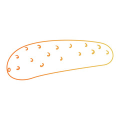 fresh cucumber vegetarian food