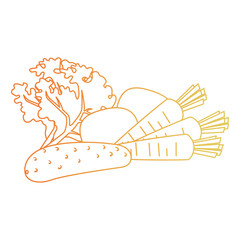 fresh vegetables healthy food