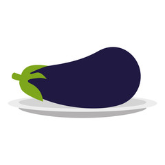 fresh eggplant vegetarian food