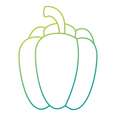 fresh pepper vegetarian food