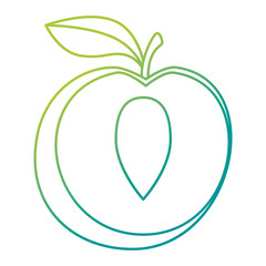 fresh peach healthy food