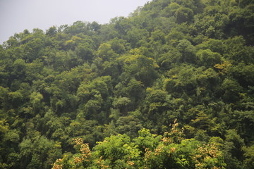 Fototapeta premium Chinese Landscape