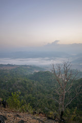 Forest around Thiloso waterfall, Thailand