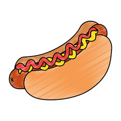 fresh and delicious hot dog