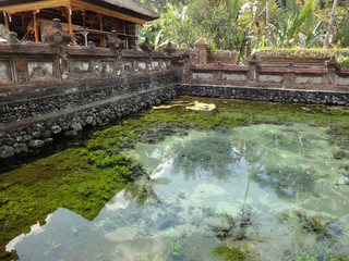 Fototapeta na wymiar Holy pool in Bali, Indonesia