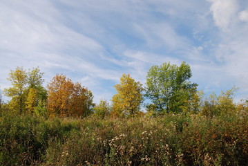 Fototapeta premium Russian autumn landscape