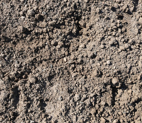 texture of plowed and dried up land. loam

