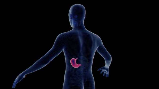 3D model of a person rotating with a red-glowing stomach