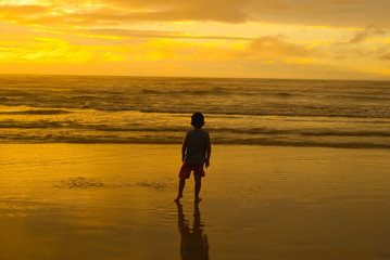 Naklejka premium SONY DSC