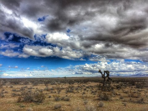 Desert Solo