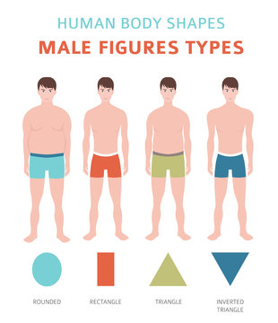 Human body shapes. Male figures types set