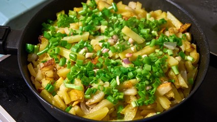 Fried potato and onion. Tomsk city Russia.