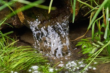 Small Creek. Summer in Siberia. Tomsk. Russia