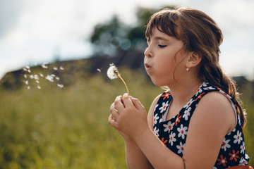 beautiful girl in the field blowing dandelion