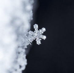 snowflake on snow, snow