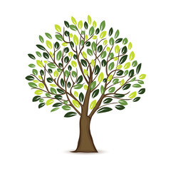Naklejka premium Illustration Tree Design In white background