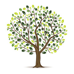 Obraz premium Ilustracja Projekt Drzewa Na białym tle