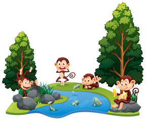 A group of monkey at the river