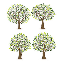 Set Illustration Tree in white background