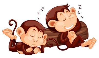 Two monkey sleeping at the log © GraphicsRF