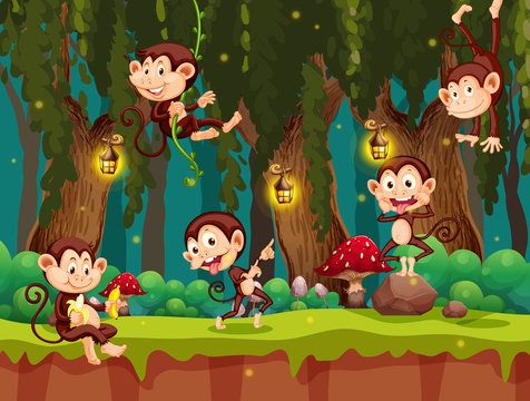 A group of monkey in jungle