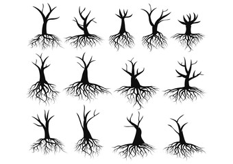 Vector illustration : Tree Roots in white background