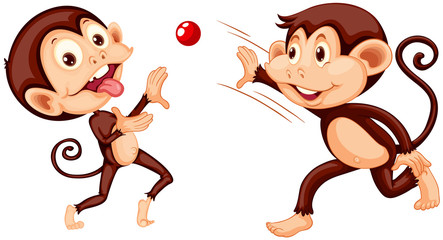 Monkey playing ball on white background
