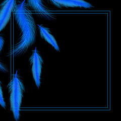 Card or invitation with blue feathers